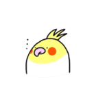 インコのスタンプ（個別スタンプ：34）