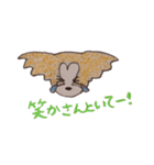 パピヨンのちょっと関西弁（個別スタンプ：4）
