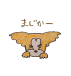 パピヨンのちょっと関西弁（個別スタンプ：8）
