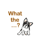Dog Gang（個別スタンプ：7）