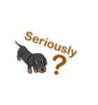 Dog Gang（個別スタンプ：10）