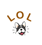 Dog Gang（個別スタンプ：21）