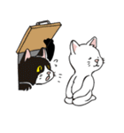 The black cat（個別スタンプ：11）