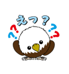 まるワシ（個別スタンプ：12）