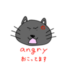 英会話猫すんちゃん（個別スタンプ：10）