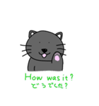 英会話猫すんちゃん（個別スタンプ：11）