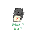 英会話猫すんちゃん（個別スタンプ：13）