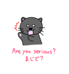 英会話猫すんちゃん（個別スタンプ：28）