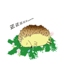 Hedgehog's Lovely LIFE（個別スタンプ：28）