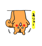 りすのプックのスタンプ（個別スタンプ：12）