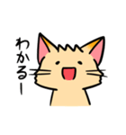 ほちゃねこ（個別スタンプ：27）