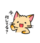 ほちゃねこ（個別スタンプ：31）