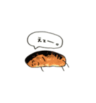 よくわからないなぞのましゅまろなやつら（個別スタンプ：40）