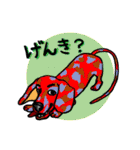 ガラ犬（個別スタンプ：36）