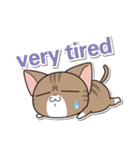 にゃんぐりっしゅ（個別スタンプ：13）