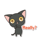 にゃんぐりっしゅ（個別スタンプ：16）