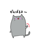 まるい猫。マル（個別スタンプ：22）