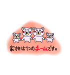 ほっこり心あたたまるクマすたんぷ（個別スタンプ：24）