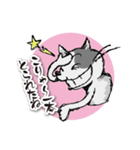 ややグレたネコ（個別スタンプ：10）