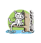 ややグレたネコ（個別スタンプ：16）