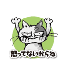 ややグレたネコ（個別スタンプ：20）