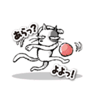 ややグレたネコ（個別スタンプ：26）