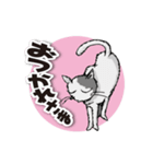 ややグレたネコ（個別スタンプ：31）