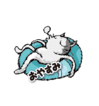 ややグレたネコ（個別スタンプ：35）