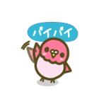 あいらしインコ（個別スタンプ：9）