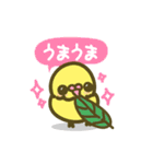 あいらしインコ（個別スタンプ：16）