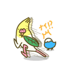 あいらしインコ（個別スタンプ：39）