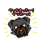 iinu ベルジアン・グリフォン（個別スタンプ：9）