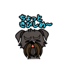 iinu ベルジアン・グリフォン（個別スタンプ：13）