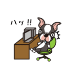 iinu ボストン・テリア（個別スタンプ：30）