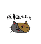 ヘンテコ猫の面白スタンプ（個別スタンプ：4）