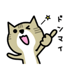 だめねこ（個別スタンプ：13）