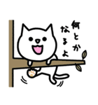 だめねこ（個別スタンプ：15）