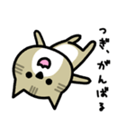 だめねこ（個別スタンプ：38）