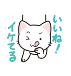 しっぽ＋ねこ（個別スタンプ：22）