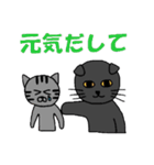 黒猫のぽっくん 2（個別スタンプ：16）