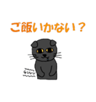 黒猫のぽっくん 2（個別スタンプ：18）