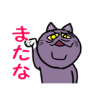 不機嫌猫とハゲあたま（個別スタンプ：12）