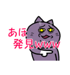 不機嫌猫とハゲあたま（個別スタンプ：13）