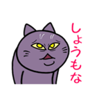 不機嫌猫とハゲあたま（個別スタンプ：16）