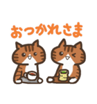 双子ねこがいっぱい1（個別スタンプ：9）