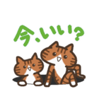 双子ねこがいっぱい1（個別スタンプ：21）