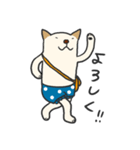 ぽちくん（個別スタンプ：20）