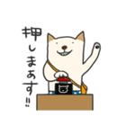 ぽちくん（個別スタンプ：29）