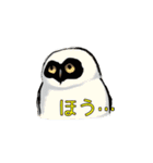 フクロウスタンプ（個別スタンプ：9）