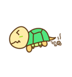 Little Turtle kame カメ（個別スタンプ：23）